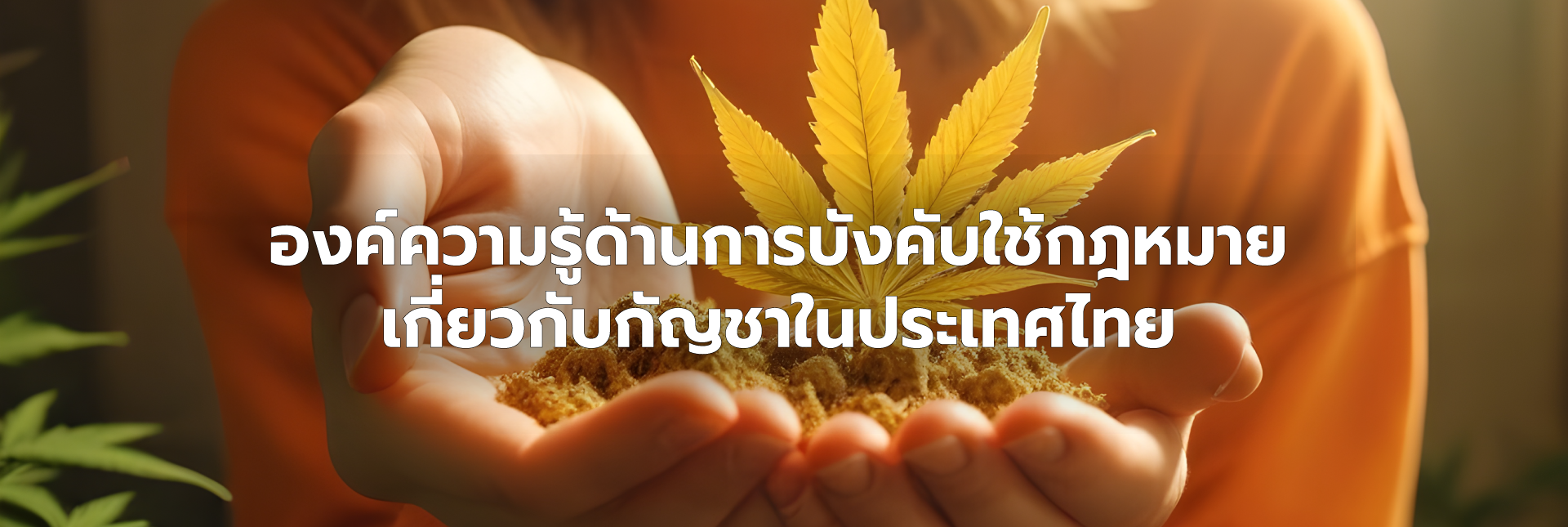 หน้าปก.png