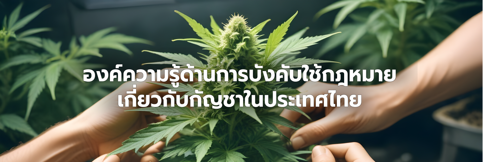 หน้าปก_1.png